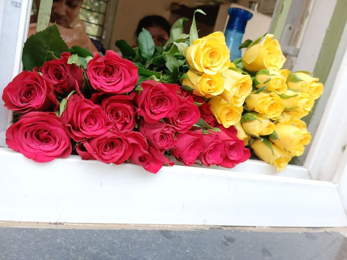 Buquê de rosas vermelhas em Jardim Floresta