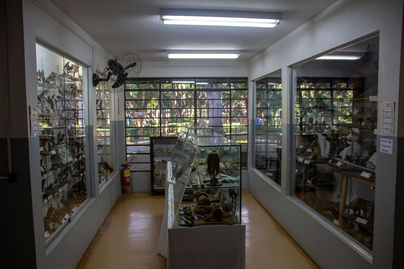 Museu de História Natural de Atibaia: as mil aves e bichos do professor Antônio Pérgola